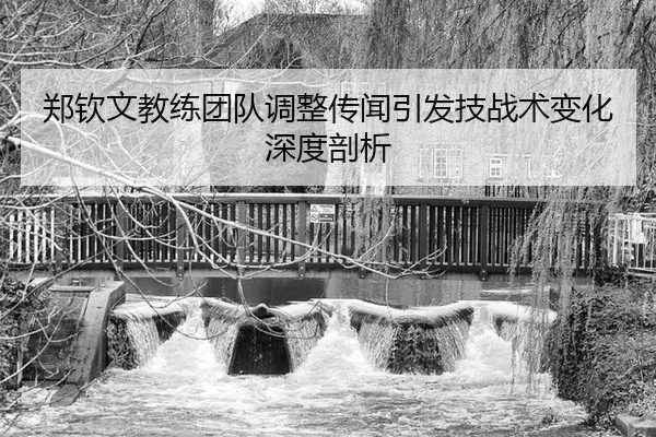 郑钦文教练团队调整传闻引发技战术变化深度剖析